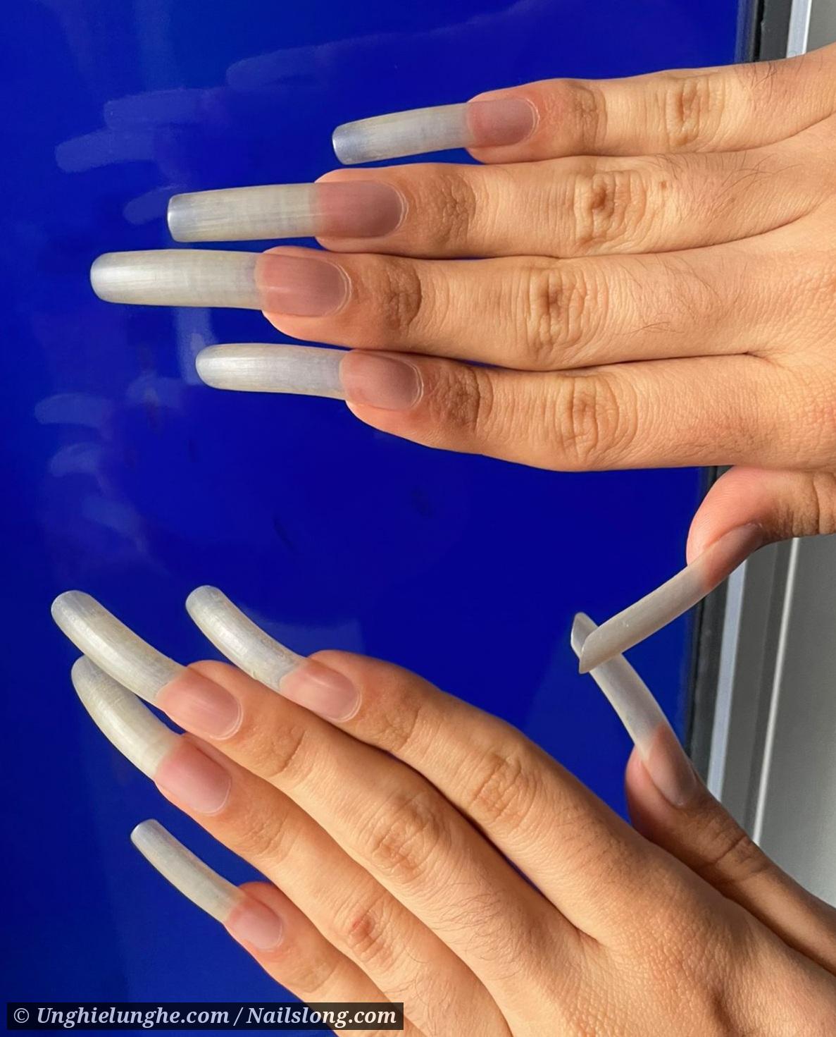 Amy Kane Nailslong
