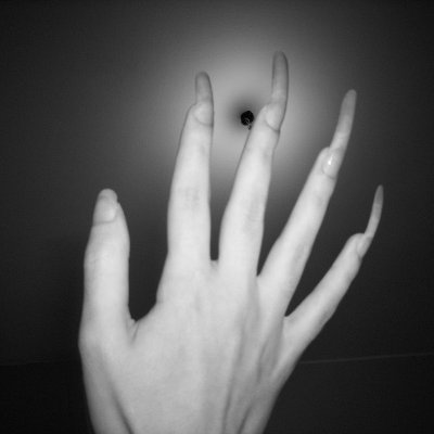 February 2009