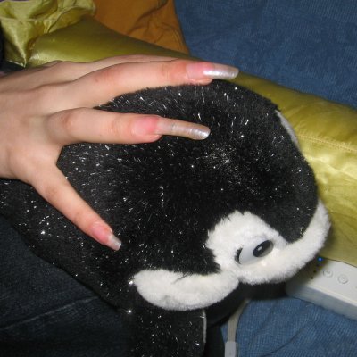 February 2009