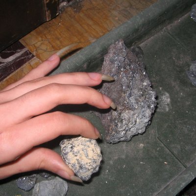 February 2009