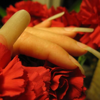 Febbraio 2009