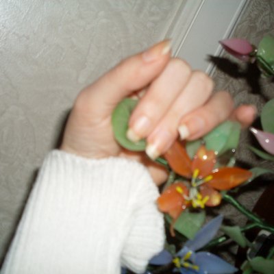 February 2011
