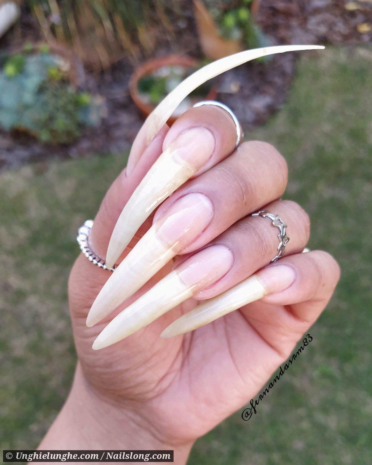 Fernanda Ribeiro Nailslong