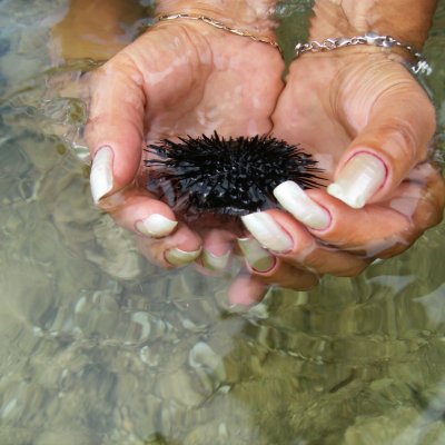 Agosto 2011
