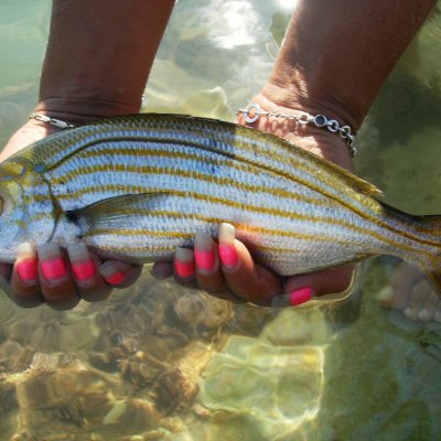 Settembre 2011