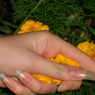 Febbraio 2009