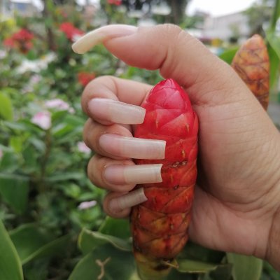 Nails natural