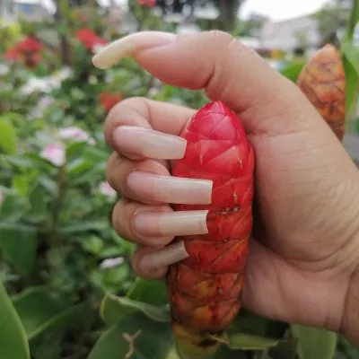 Nails natural
