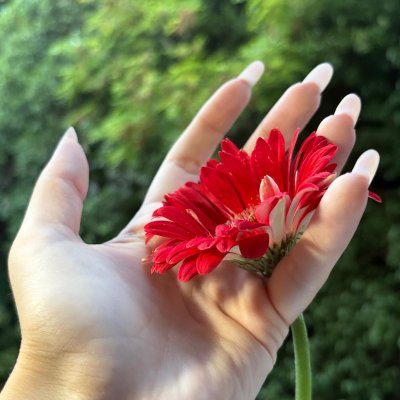 NailsElena