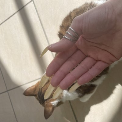 Rina Claws