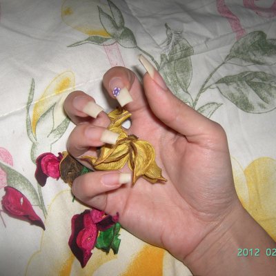 Febbraio 2012