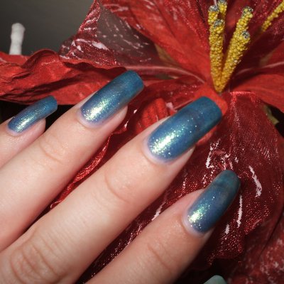 Novembre 2011