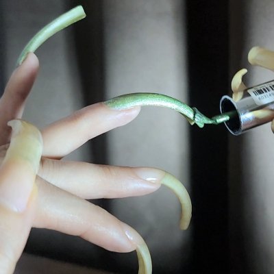 SecretNailGarden
