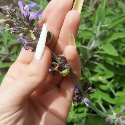 Luglio 2019