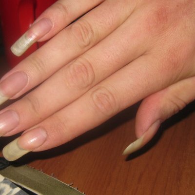 Novembre 2010