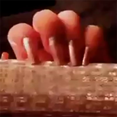 BuMaKa video 10