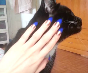 kvmanon video 6