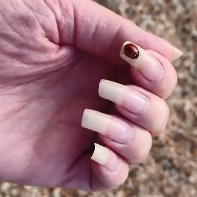 reallongnailsuk video 39