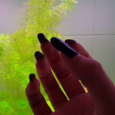 Tali video 4